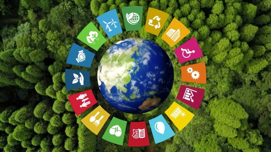 sustentabilidad y sostenibilidad