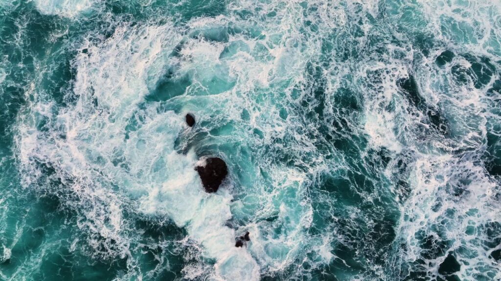 Futuro Sostenible: Cómo la IA Está Cambiando Nuestra Relación con el Medio Ambiente 5 oceonas